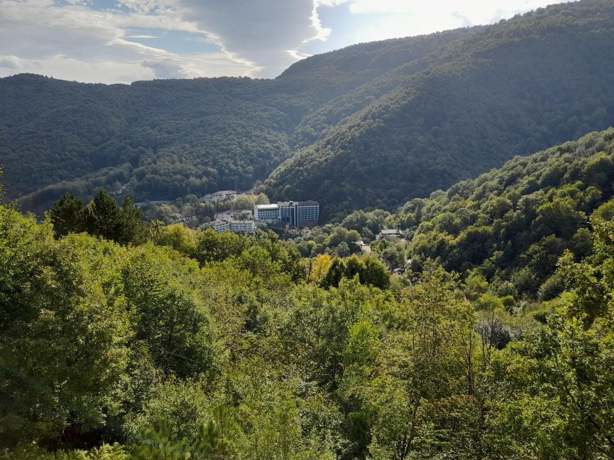 SaadetTurkish Retreat住宿加早餐旅馆 外观 照片